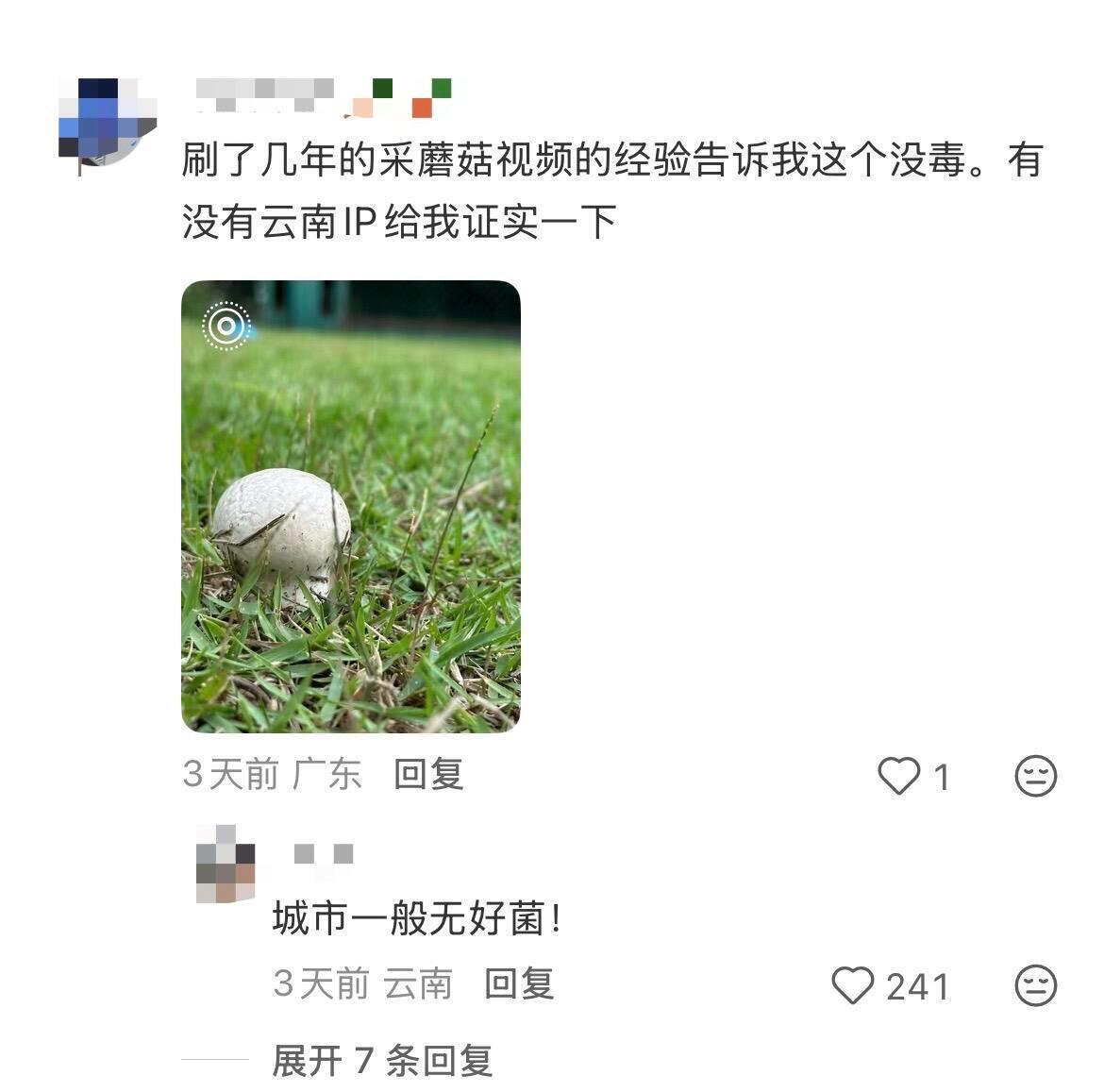 毒蘑菇们，长得乖乖小小的，但是