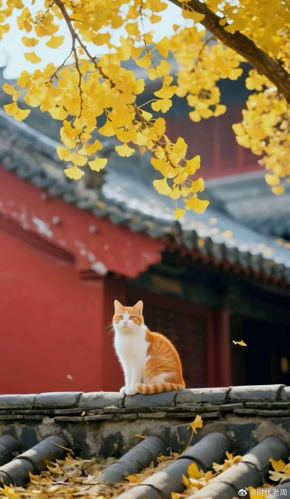 爱人者，人恒爱之；敬人者，人恒敬之。因为见过众生的苦难，所以多了一份慈悲；因为见