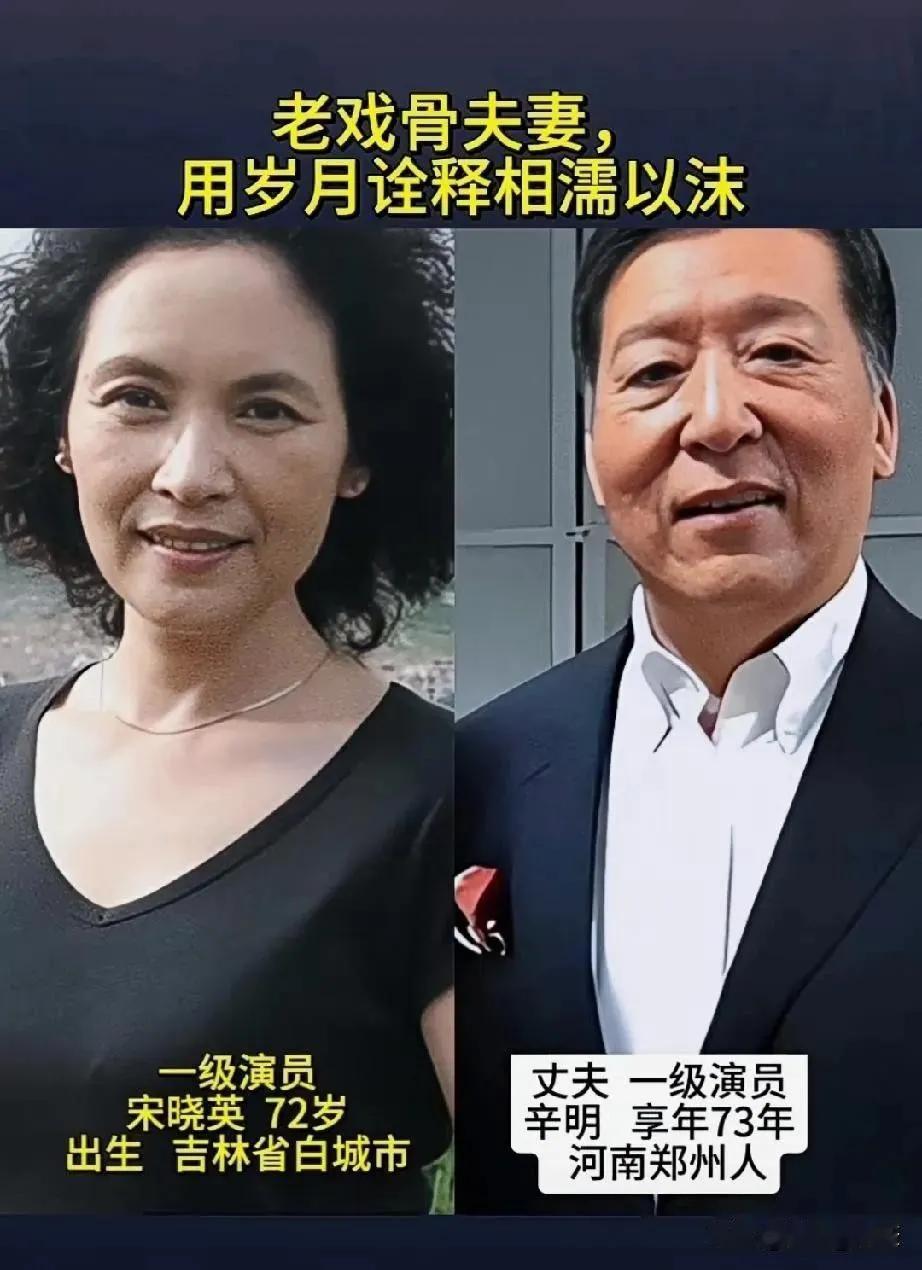 低调不炒作明星夫妻，这几对明星夫妻踏踏实实地过自己的小日子，该拍戏拍戏，该顾家顾