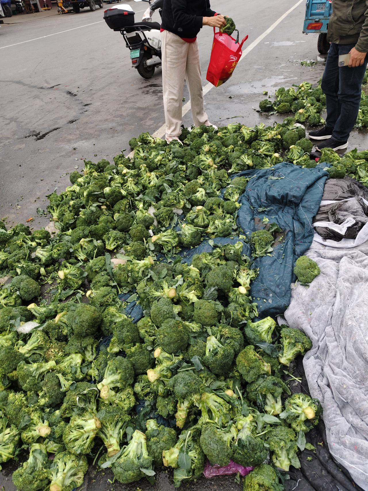 在郑州万邦批发市场每天捡菜和水果现在我已经实现自给自足了每天都能捡到各种各样