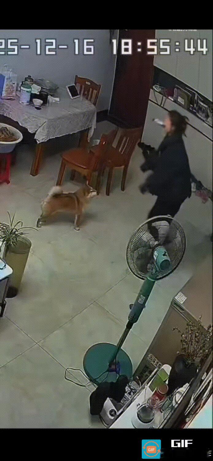 人一旦无聊起来，做出的事情会有多荒唐。女子突发奇想，打算拍一段抱着爱犬转圈的视