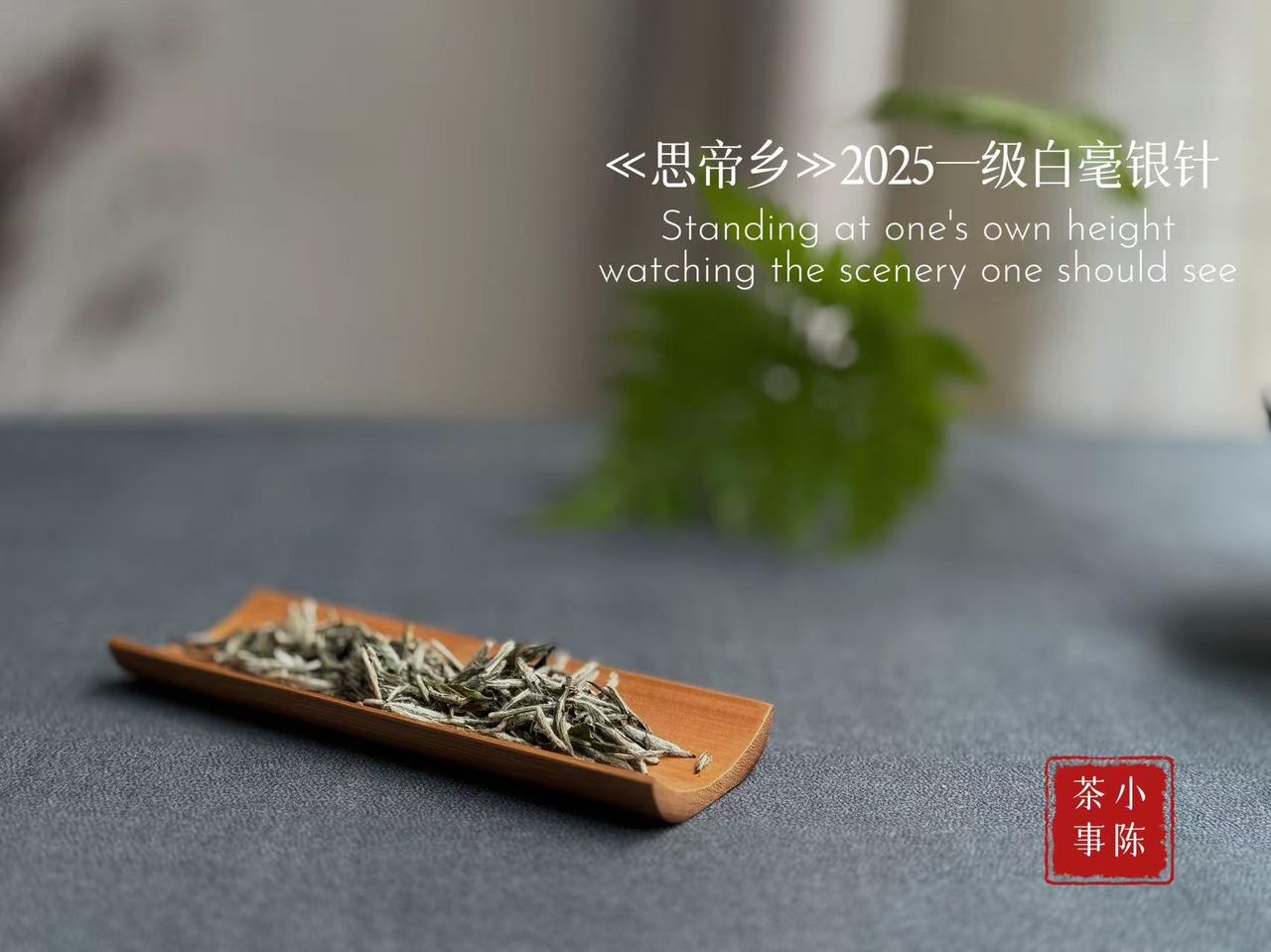 千万别再乱用冰箱存茶了！并不是所有茶叶都适合放进冰箱储存，品类不同，存放方式天