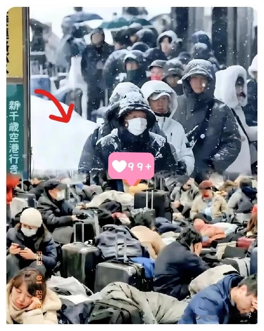 看到北海道那一幕，我是真没忍住笑。平时在国内机场，哪怕广播晚报了一分钟