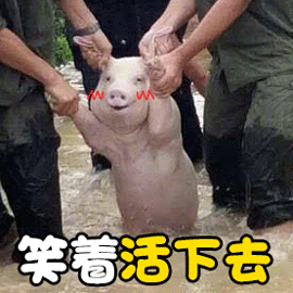 如何去救助流浪动物之前喂流浪猫时，发现它有皮肤病，赶紧联系宠物医院，治疗后通过