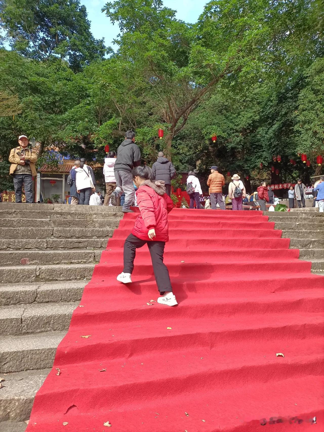 记录我的2026登高望远2026