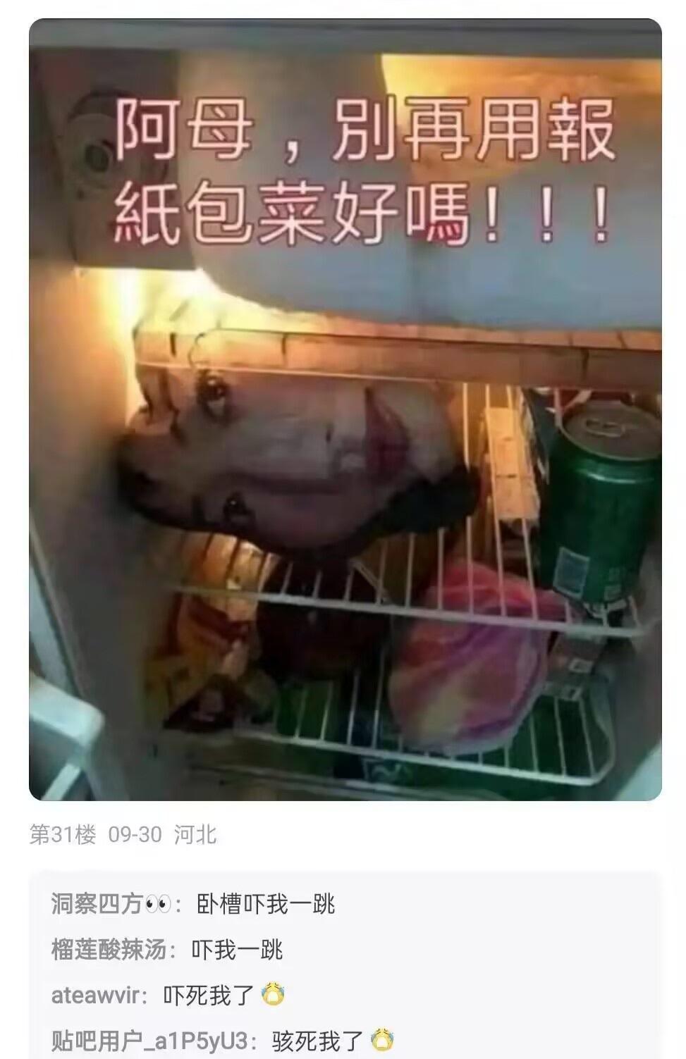 一打开冰箱吓我一跳