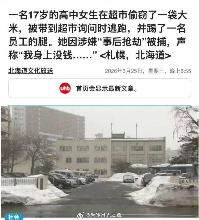 小本子现在沦落成这样了吗？17岁少女需要到超市偷大米才能活下去了吗？记得很多