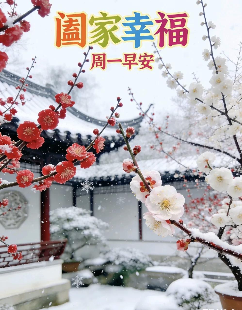 友友们早上好！新的一周好运连连，平安喜乐，福寿双全，感恩有您，一路同行！[