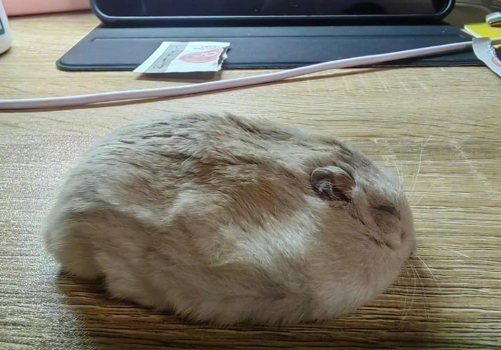 鼠标🖱️这名字没白起​​​