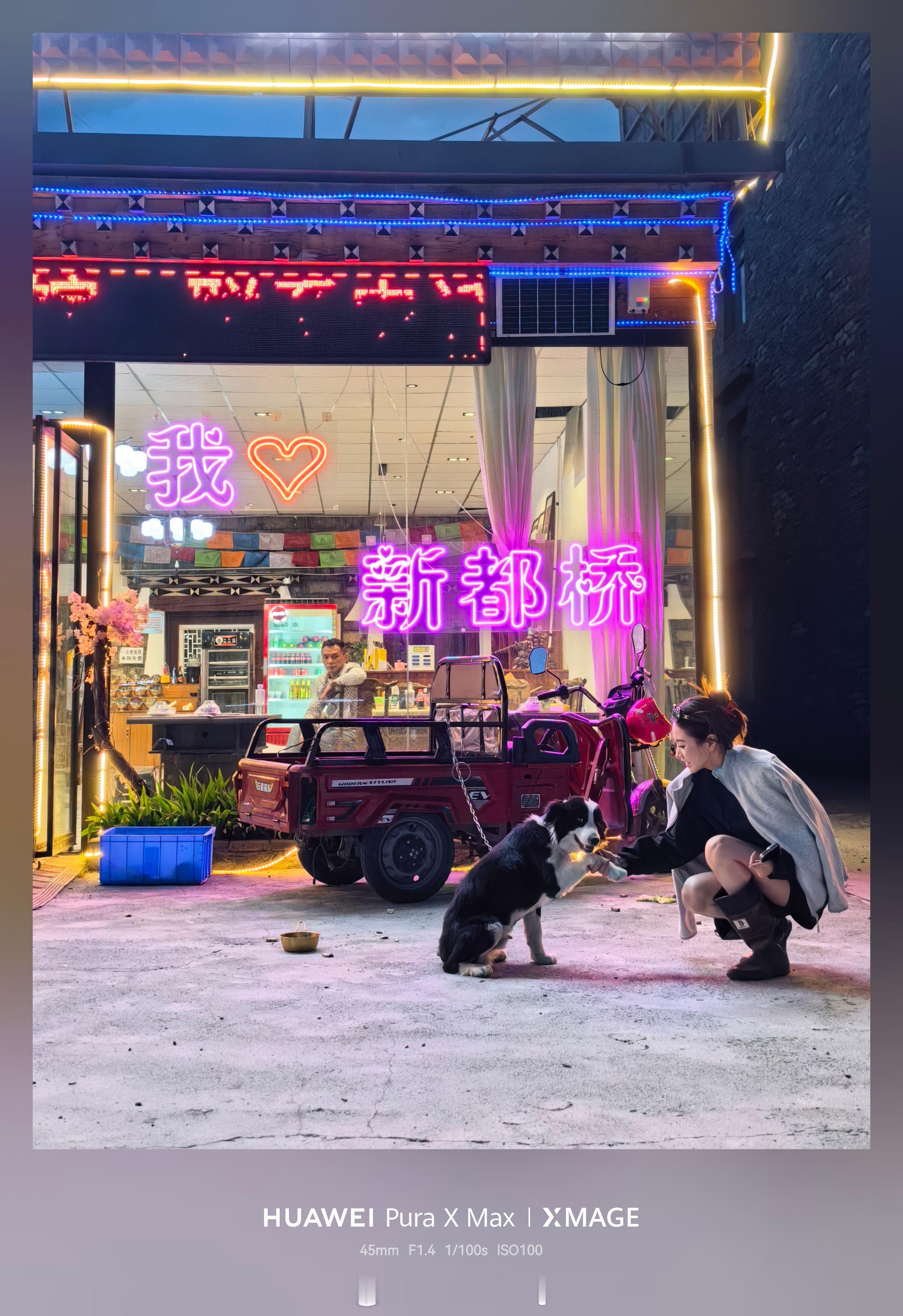 最喜欢的两张照片粘人小边牧