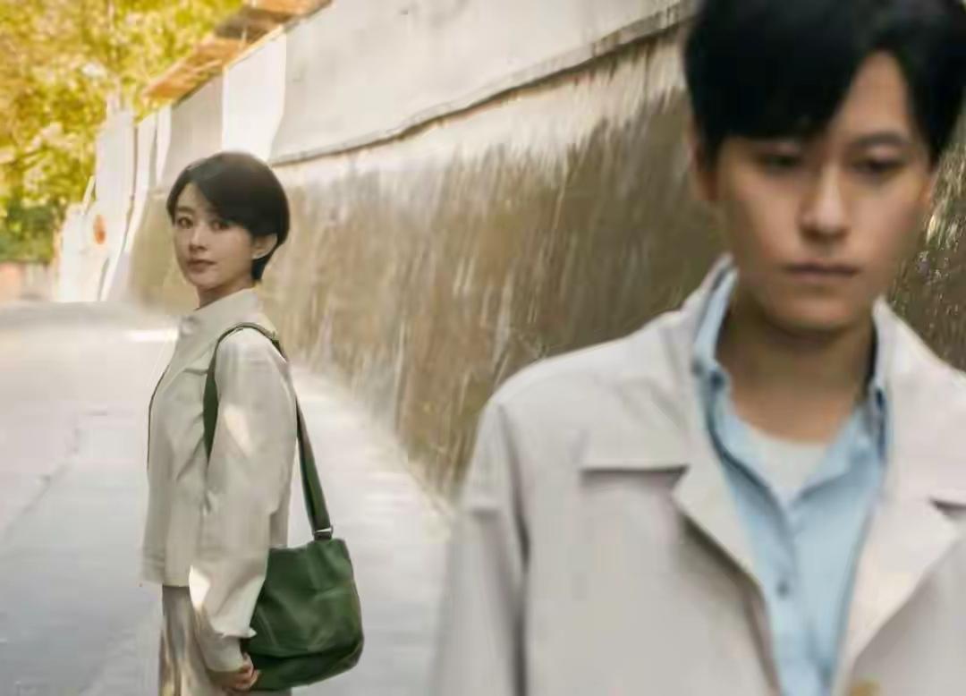 追剧《小城大事》杜涛的一篇不实报道，把月海镇推到了风口浪尖，郑德诚书记被带走