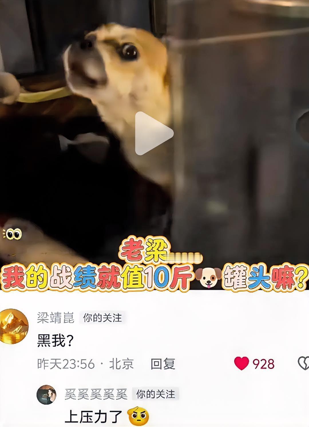 中国大满贯前：梁靖崑和奚美丽的互动，终于明白他为什么能有大心脏了？奚美丽给她