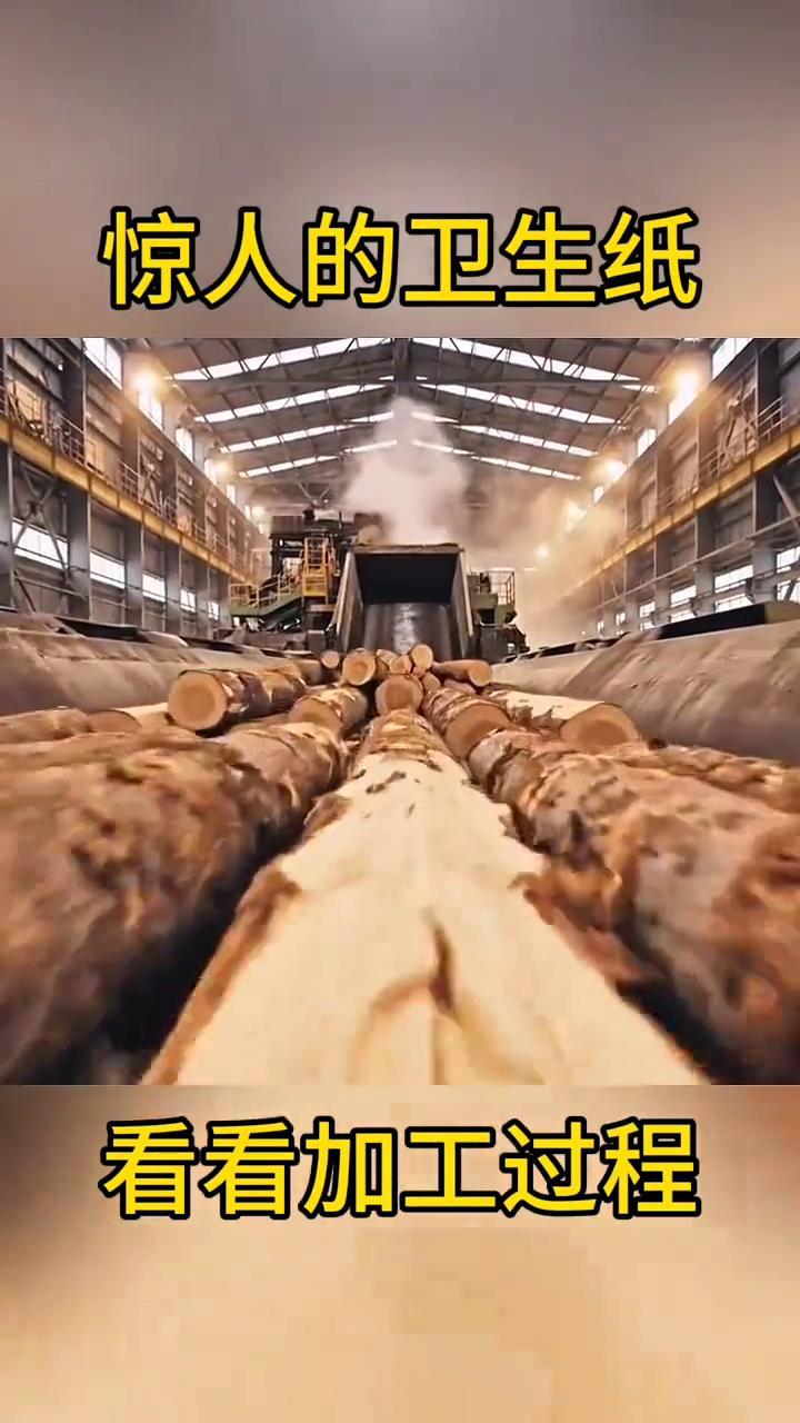 惊人的卫生纸，看看加工过程。