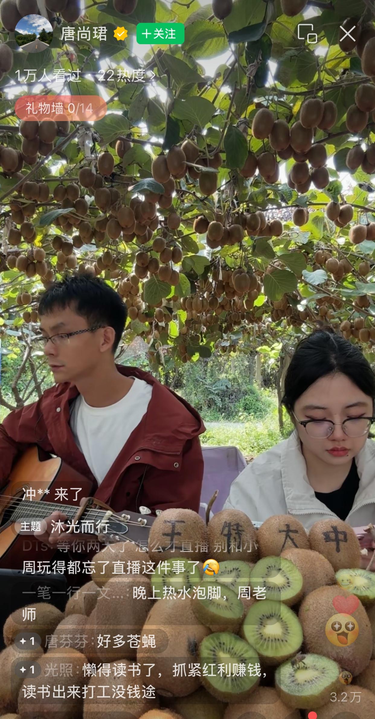 唐尚珺假期直播带货猕猴桃的第4天，他和周同学在猕猴桃园里弹吉他。七天的假期，