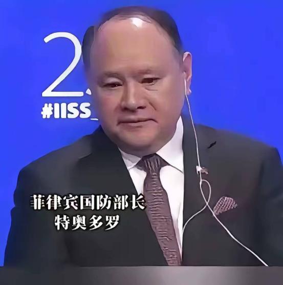7月24日，菲律宾国防部长特奥多罗接受媒体采访时表态：已经受够接连遭遇的局面。