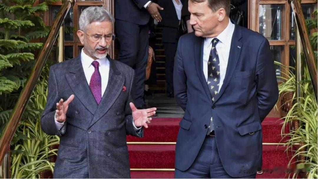 《印度教徒报》1月19日报道，波兰副总理兼外长西科尔斯基（RadoslawSi