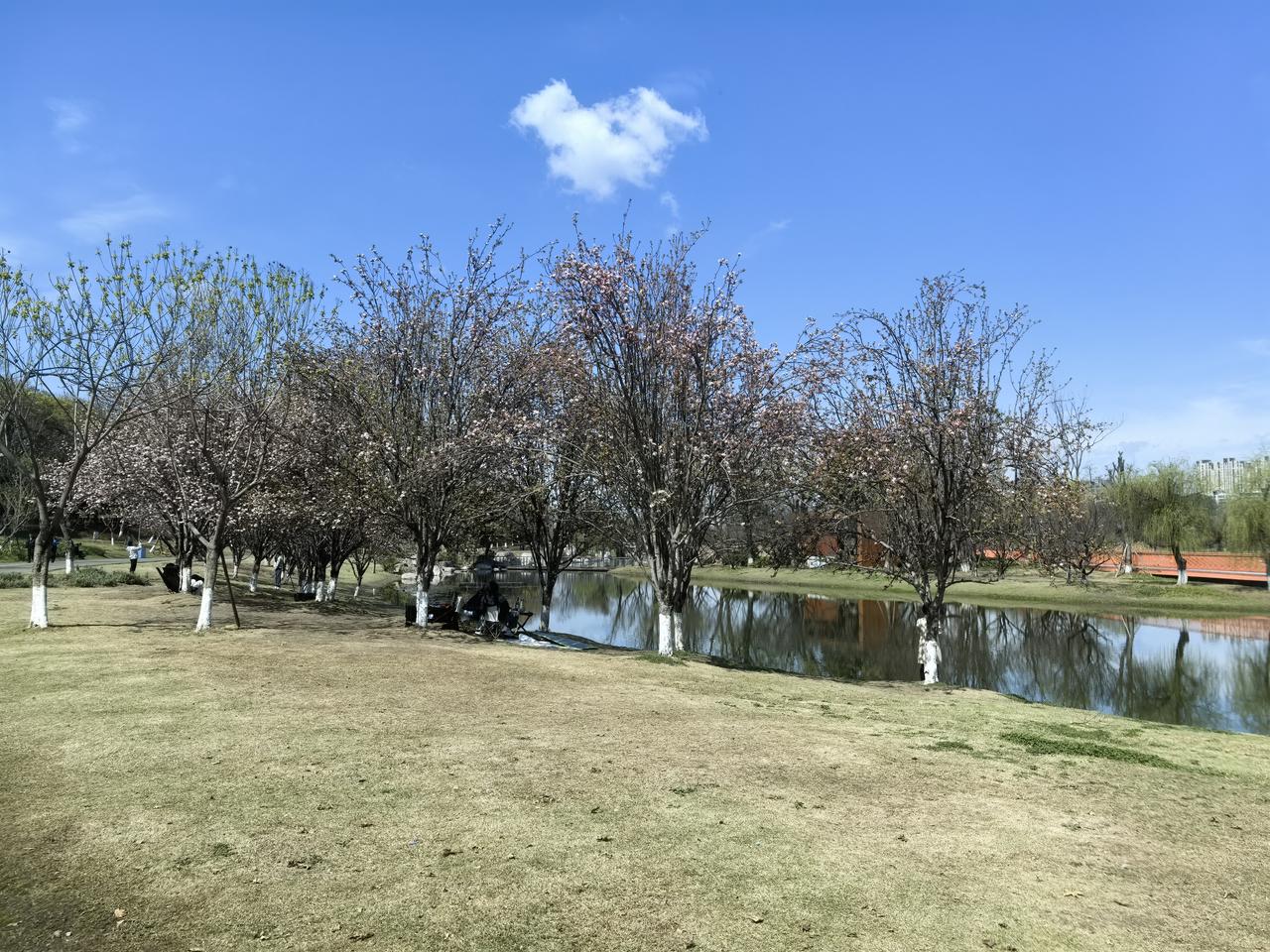 在现实社会中，我们看到的实际上有两个以色列，一个是在耶路撒冷的以色列，那里宗教至