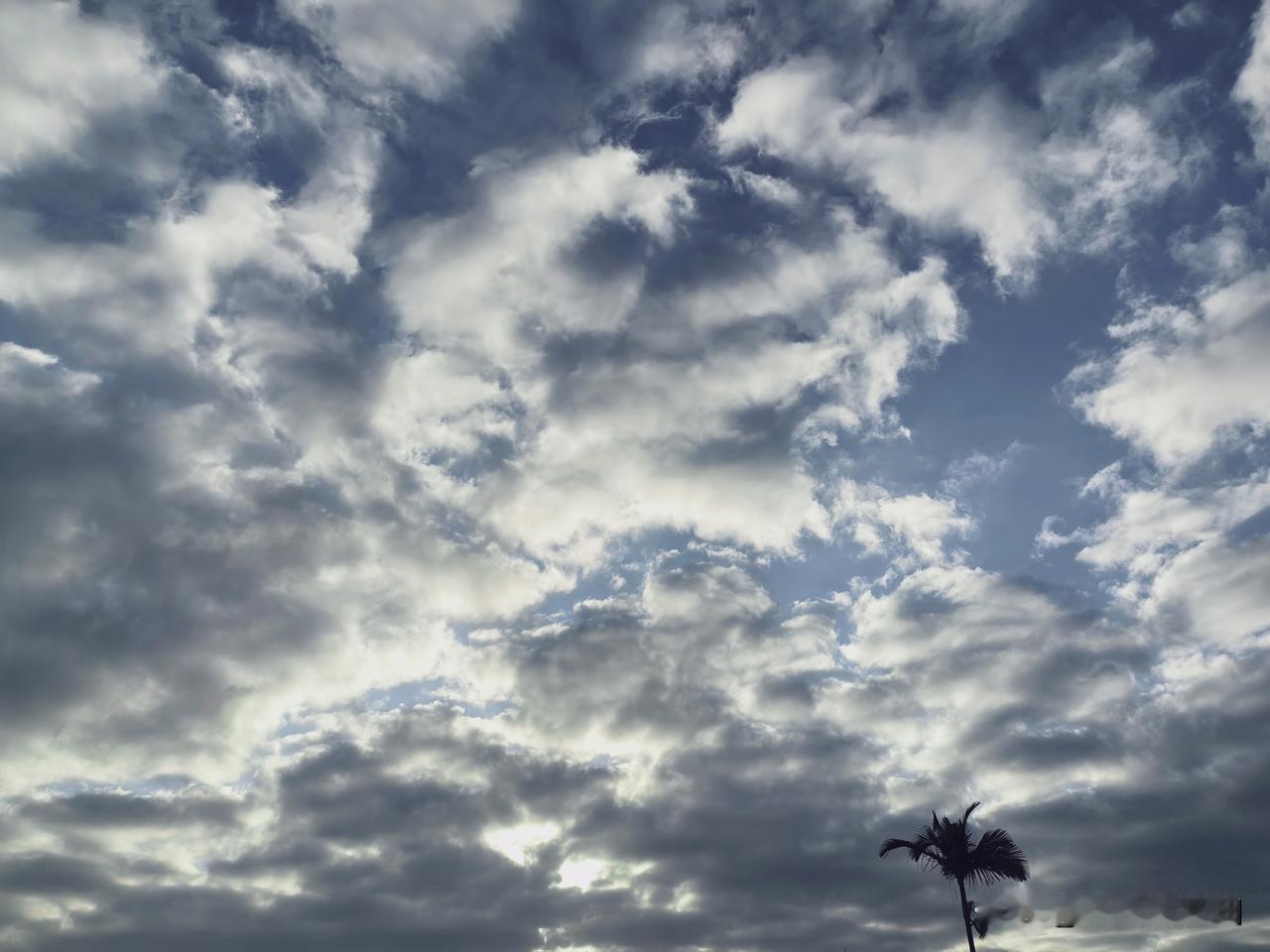 春节临近年味浓！冷空气除夕来广东拜年！北方寒意正浓，广东依旧暖冬宜人，气温一