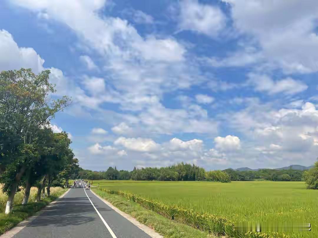 两性晚年新现实：分房睡的夫妻，最后都活成了这两种模样