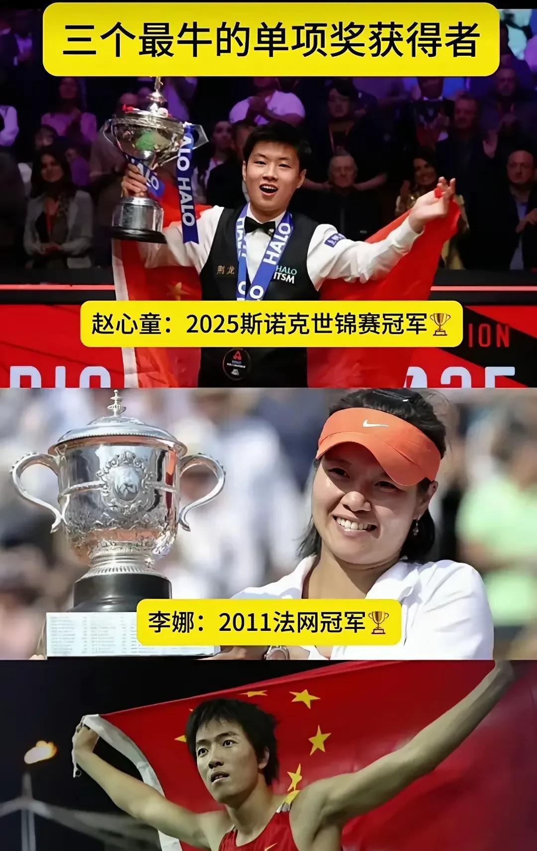 这三项单人世界冠军在国内应该是无敌了，在最近的十年内可能都无法破解。这山上冠军的
