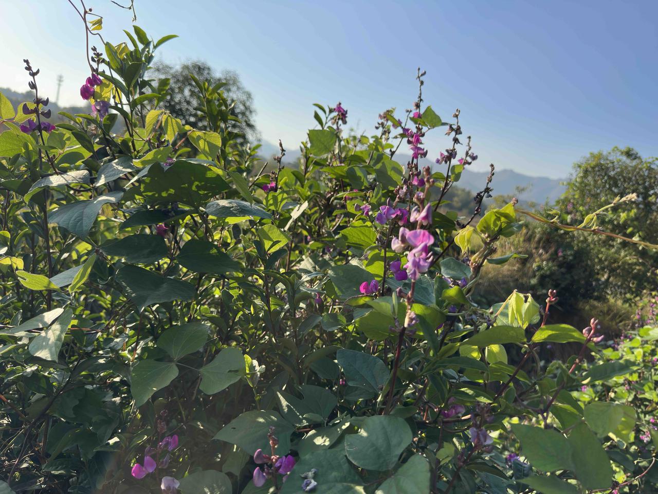 人生第一笔养老金到账了！“叮，”老同事的手机信息到，她掏出手机一看，喜形于色