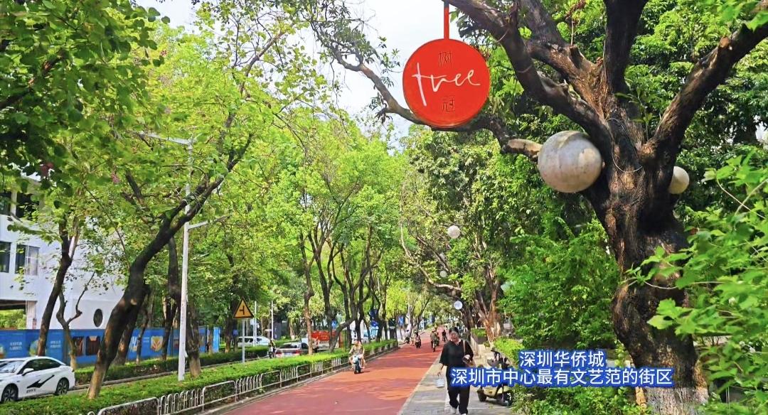 给大家推荐一个深圳骑行放松的绝佳去处，深圳南山区华侨城。这是深圳绿化最好的城区，