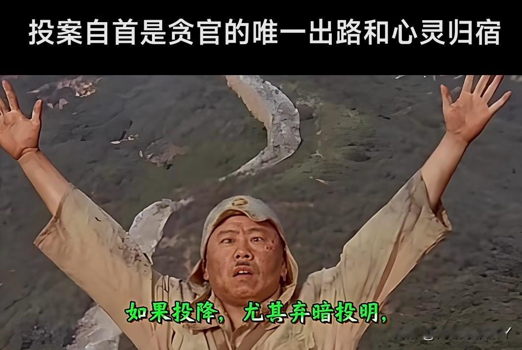 一个非常现实、非常扎心、也非常深刻的问题，为什么大多腐败者没有选择自首？