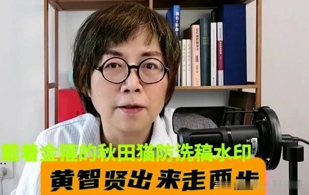 黄智贤不出来说两句？哥哥黄伟哲跟检察官杠上了，被呛“鸡同鸭讲”反咬政治站队，法