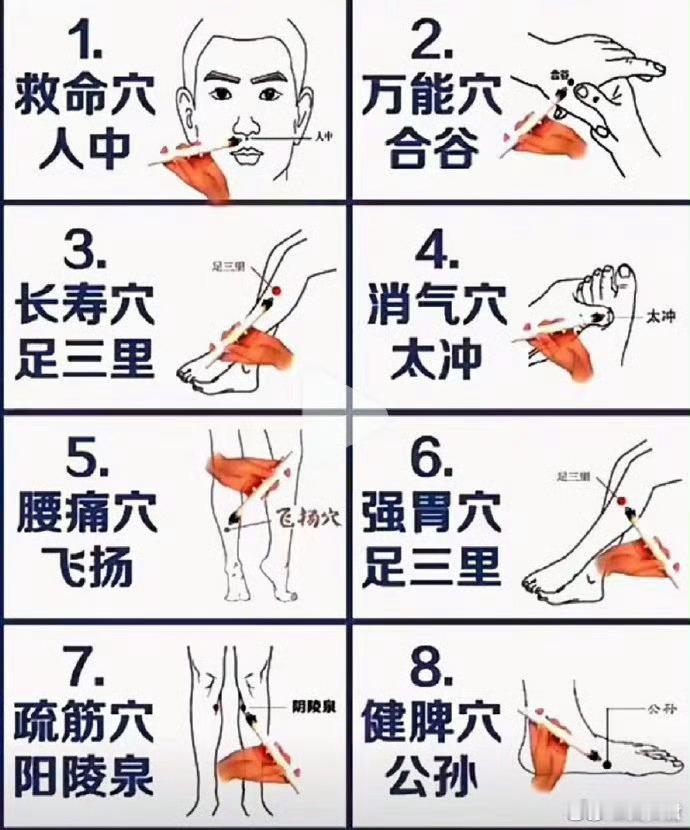 人体常用穴位，收藏了！​​​​
