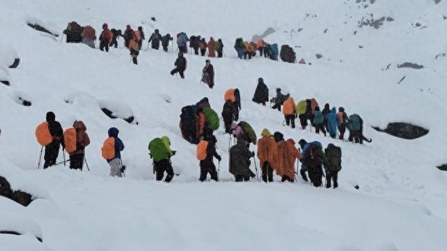 当山野成为失控的生意