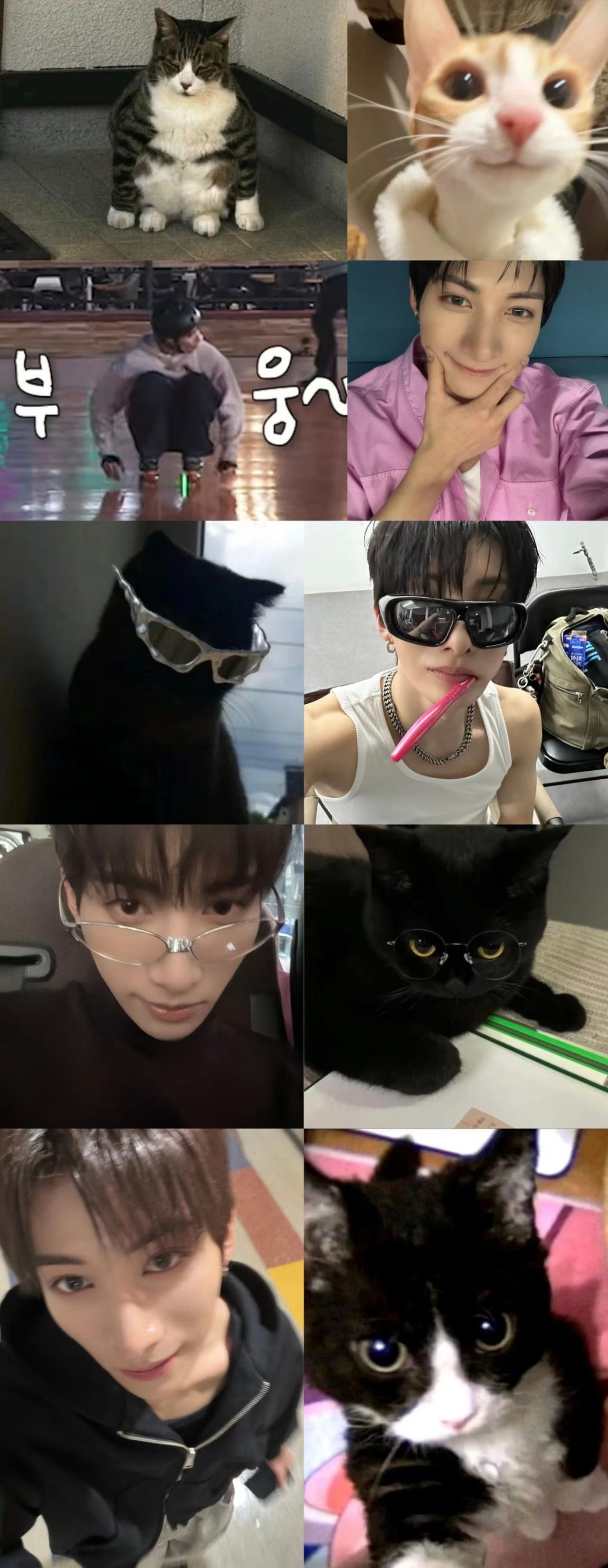 【👻】发这个然后什么都不要说​​​