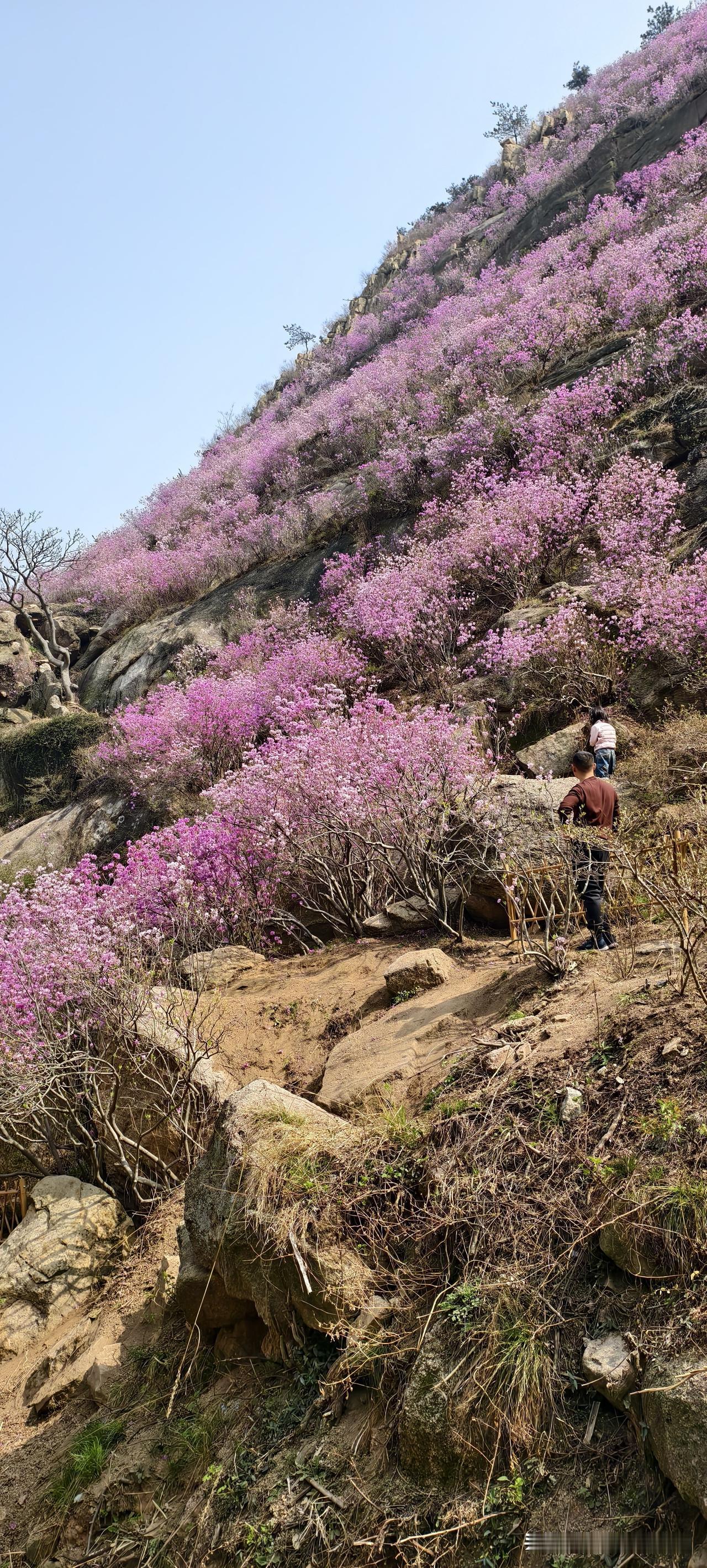 老铁们，混了15年职场，我发现真正能拉开人与人差距的，往往不是智商，而是你心里那