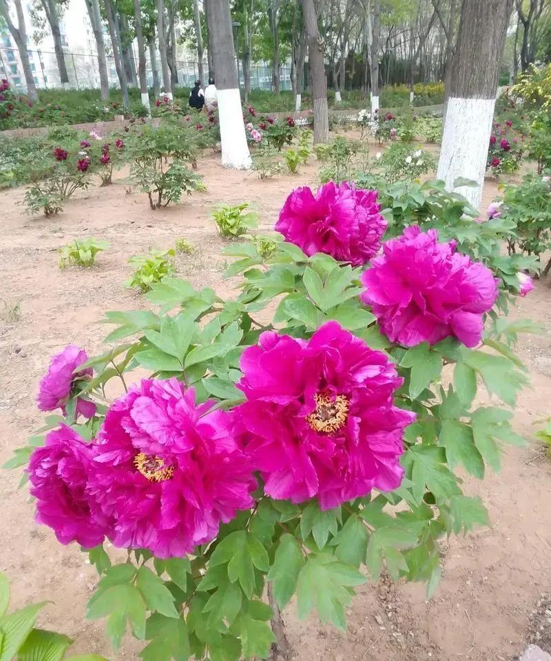 儿媳小周随口问了一句婆婆家攒了多少存款，没想到听来的答复，句句都在理。那天一