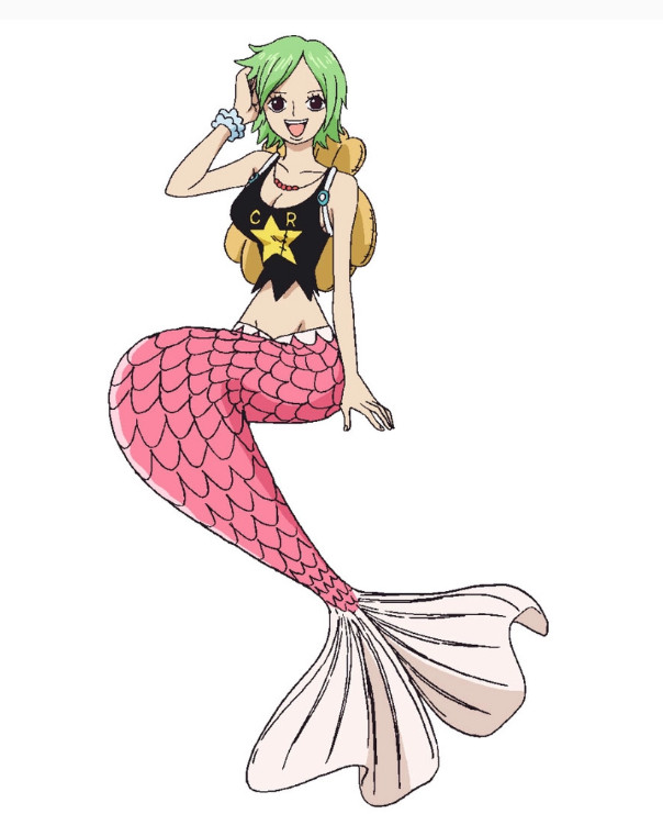 海贼王海贼王大和今年生贺图好好看！生日快乐！除了大和今天也是凯米的生日