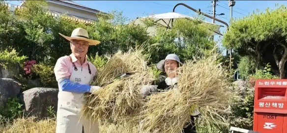 文在寅种地葫芦里卖什么药哎呀妈呀，你们知道文在寅这波操作