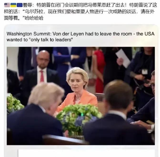 原来这才是真相，白宫峰会的时候，冯德莱恩不是自己愤而离席的！当时就有媒体爆料称
