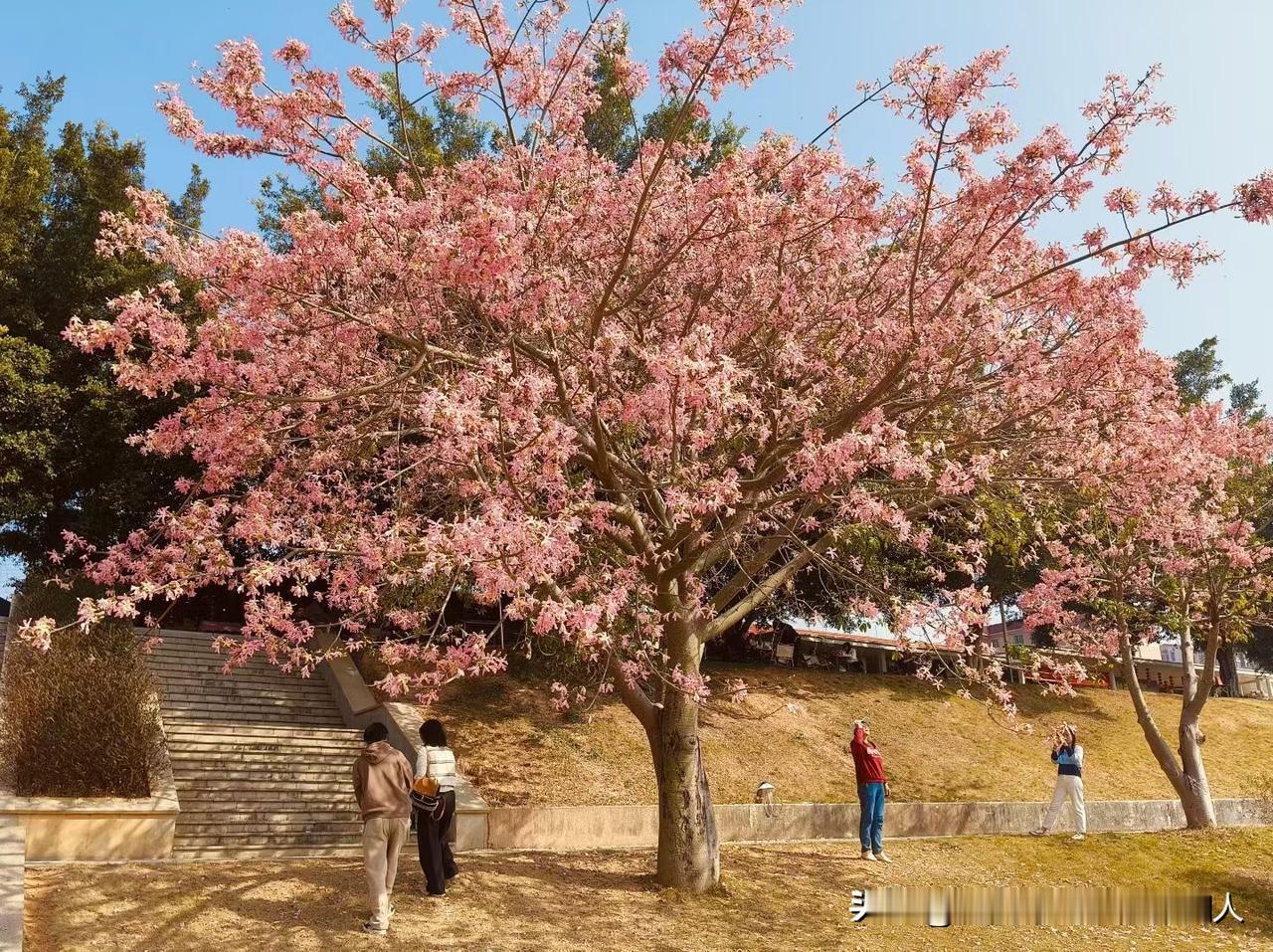 婆婆准备把她的房子过给小姑，原因是小姑离婚后没地方住，还问我有没有意见，我说没有