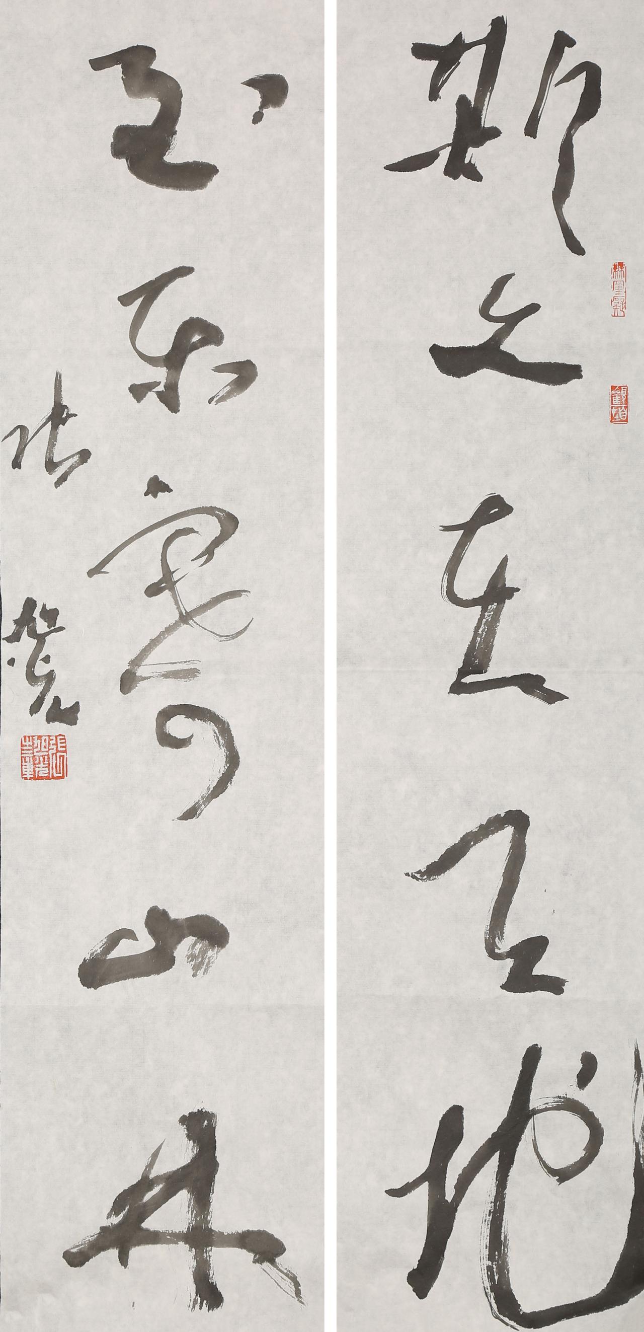 张旭光说书法是“理性高原上的非理性驰骋”，这话怎么理解？这句话出自张旭光19