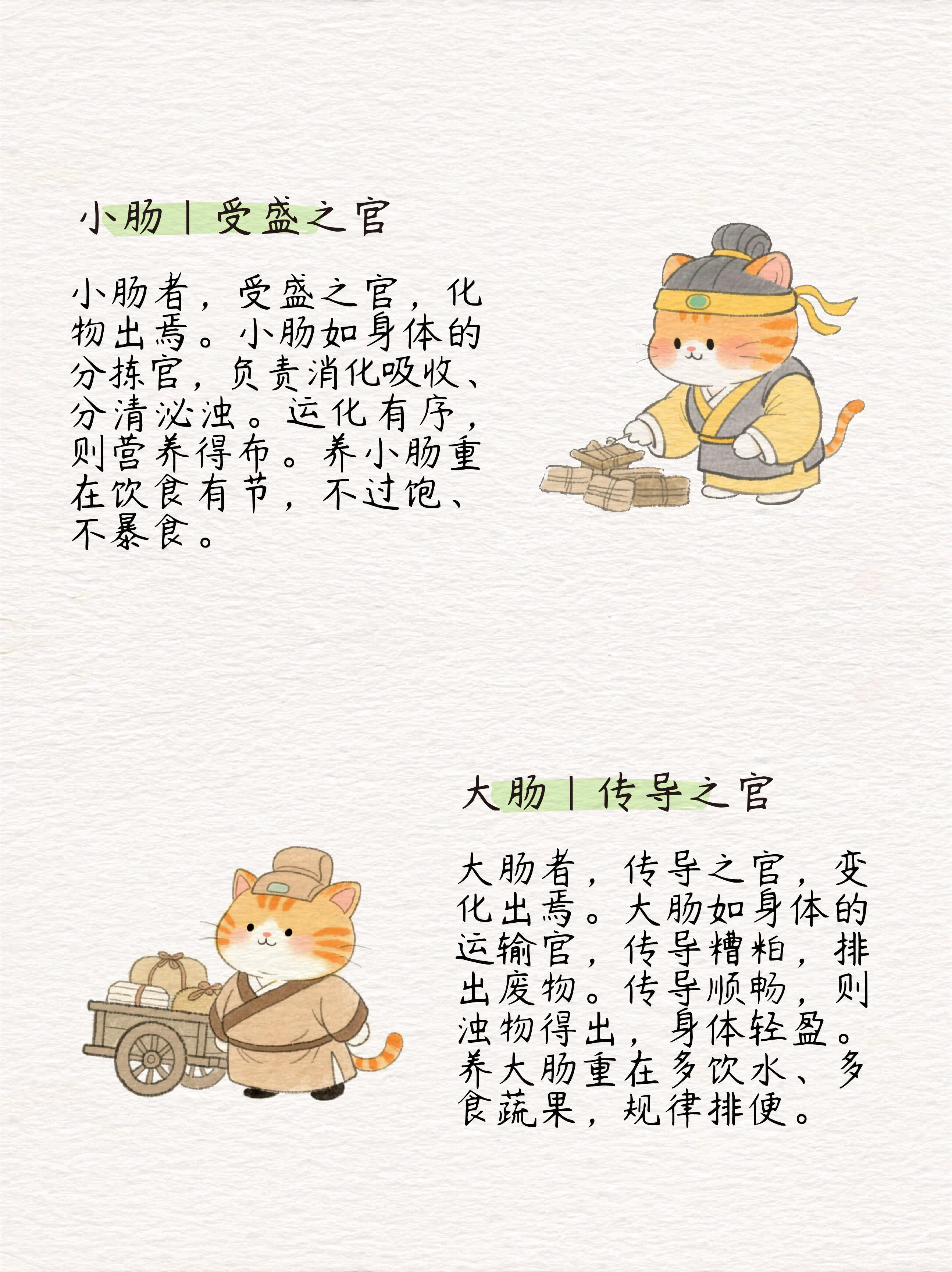 黄帝内经：脏腑对应的十二个官职