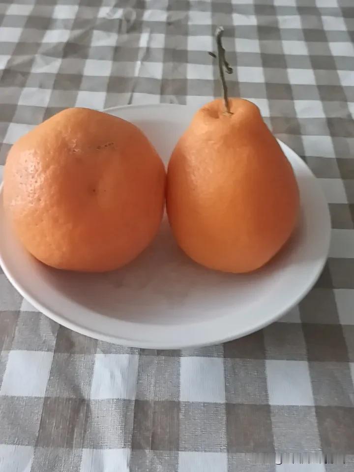 世上把媳妇当私有化的男人一抓一大把；作为女人，自己娘家的事情，如父母生病住院