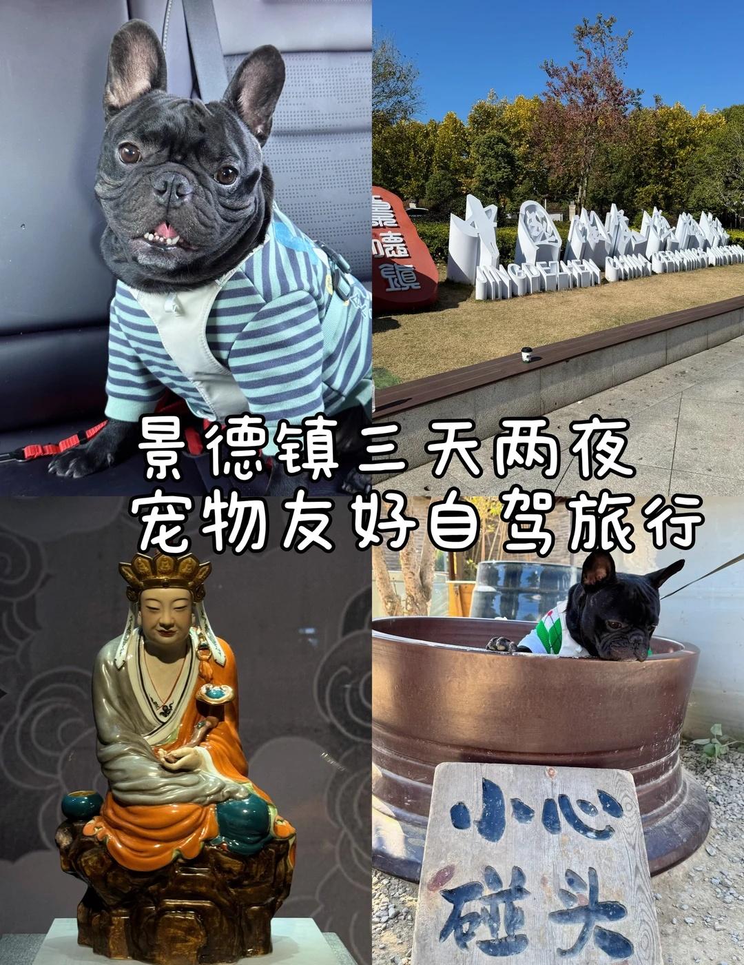自驾带小狗玩遍全国第二站：江西景德镇苏州自驾景德镇｜带毛孩子的3天2晚宠友好攻