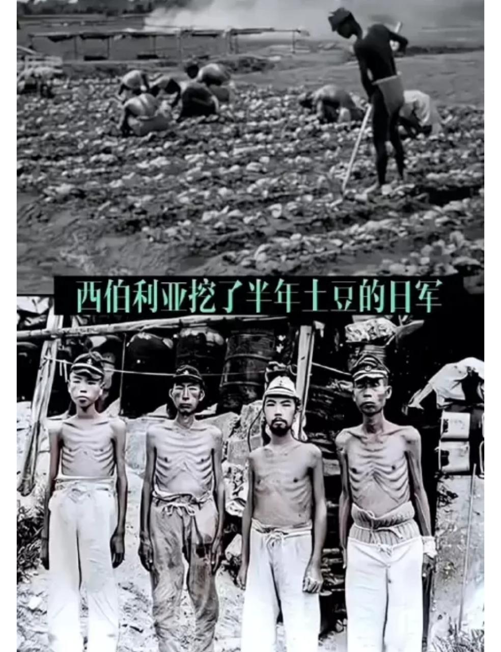 你知道二战结束后，最惨的鬼子在哪吗？不是被美军投了原子弹的广岛长崎，也不是被苏军