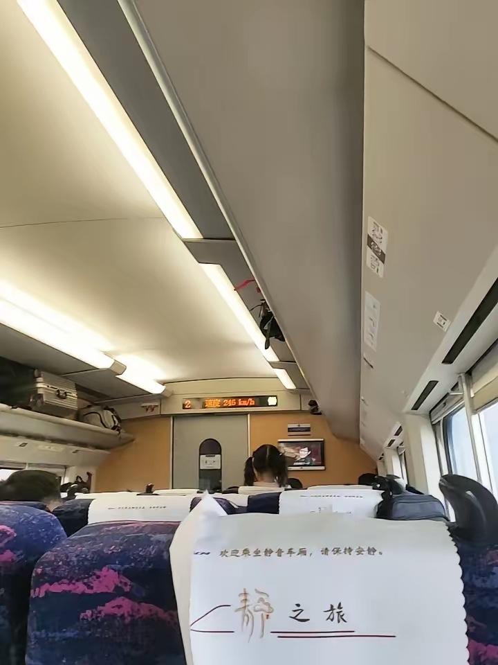 上高铁发现自己位置上坐着个小朋友，我说“这是我的座”，小朋友接着喊她妈，她妈十分