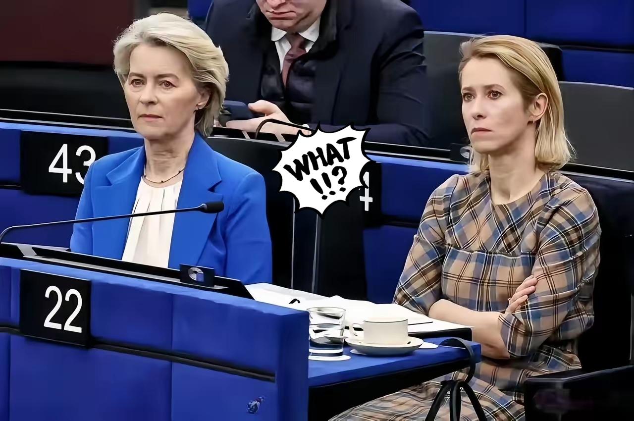 当场被怼到沉默！西班牙女议员痛斥冯德莱恩：你们在喂养怪物，令人作呕！西班牙女