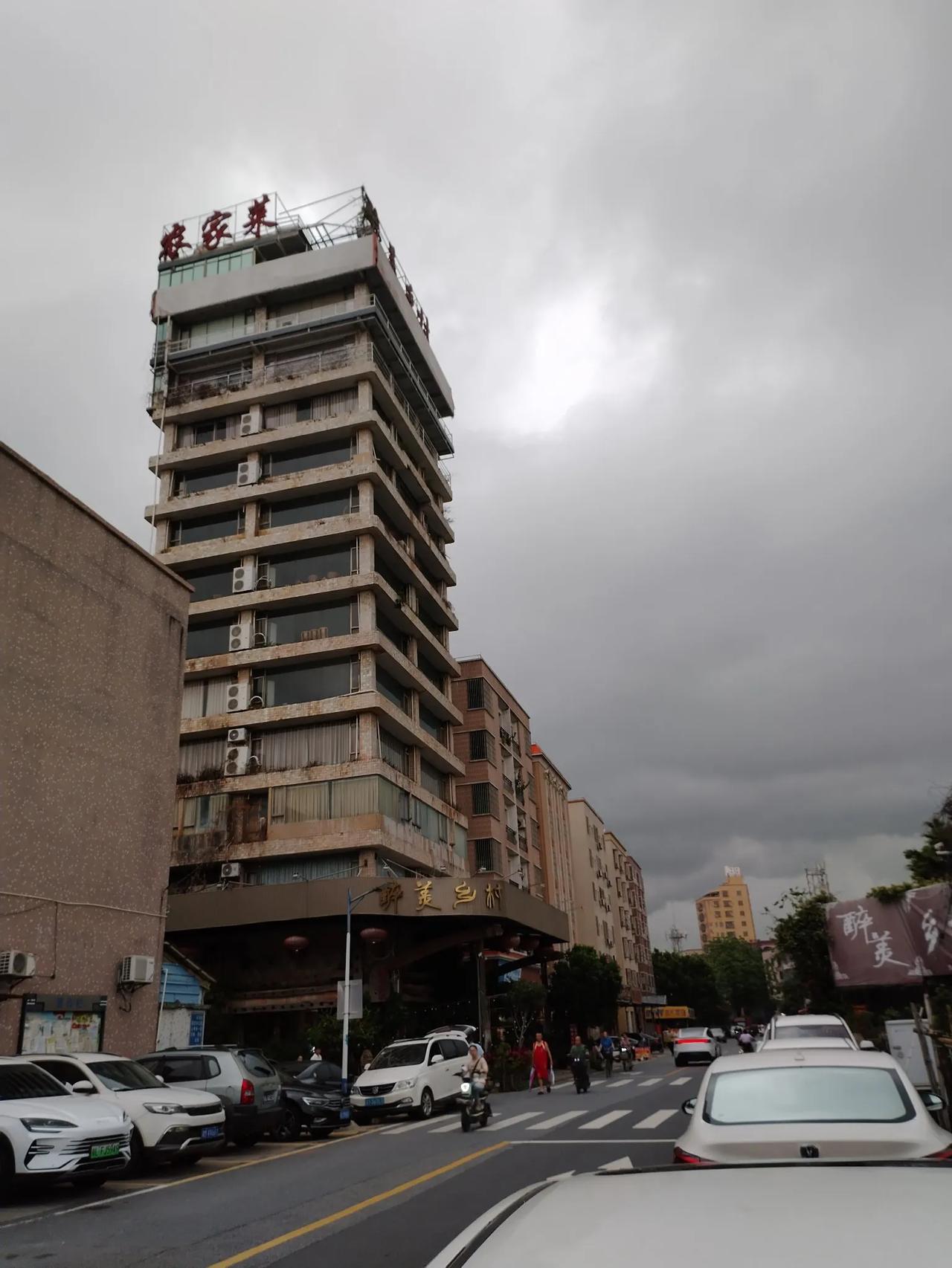 晨起路边所见绿蔬高探墨云天，无尽无穷似志坚。转向看阴移路上，蚁人奔急在风前