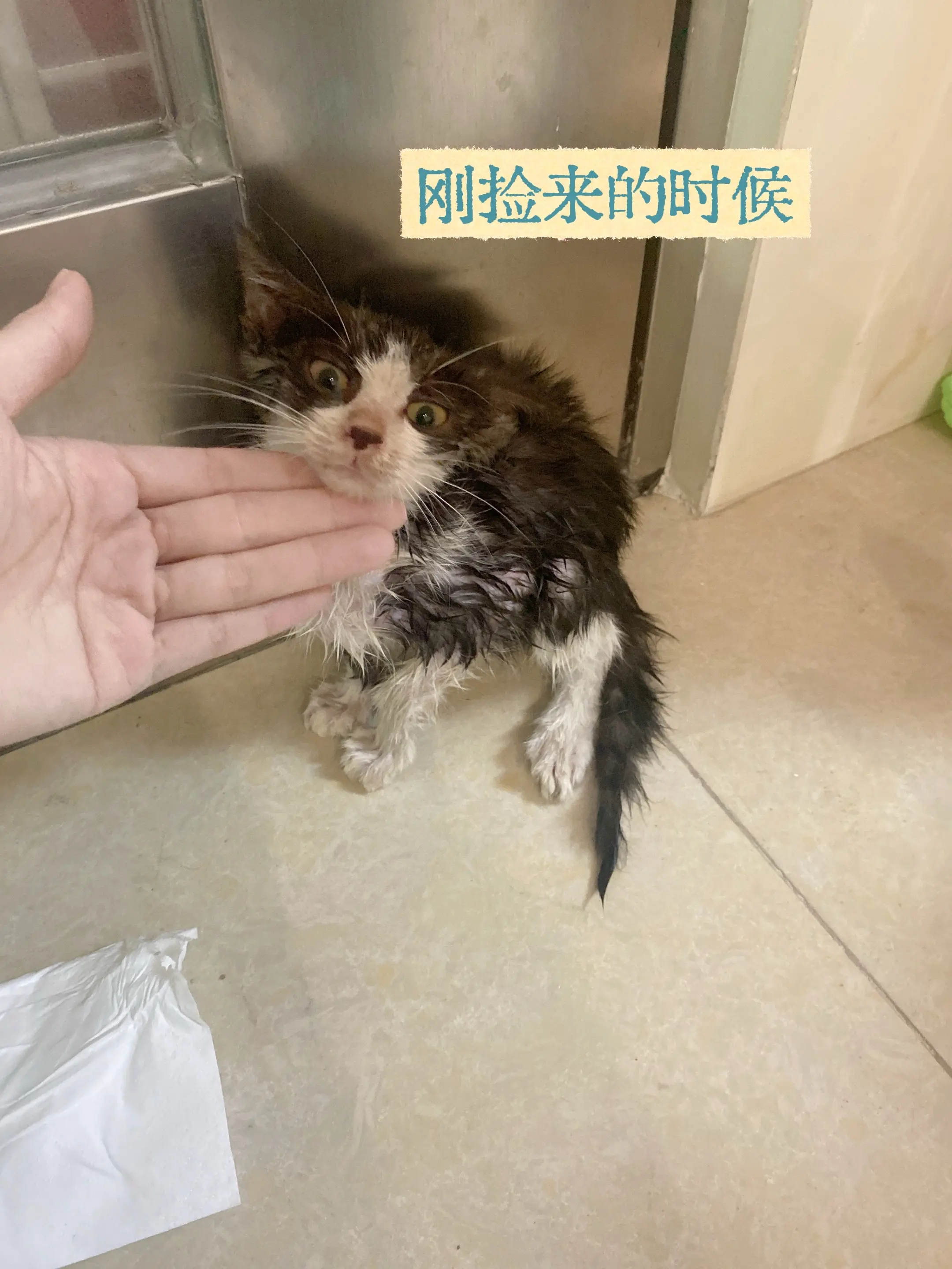 配上这首bgm 宿命感直接拉满了🤭