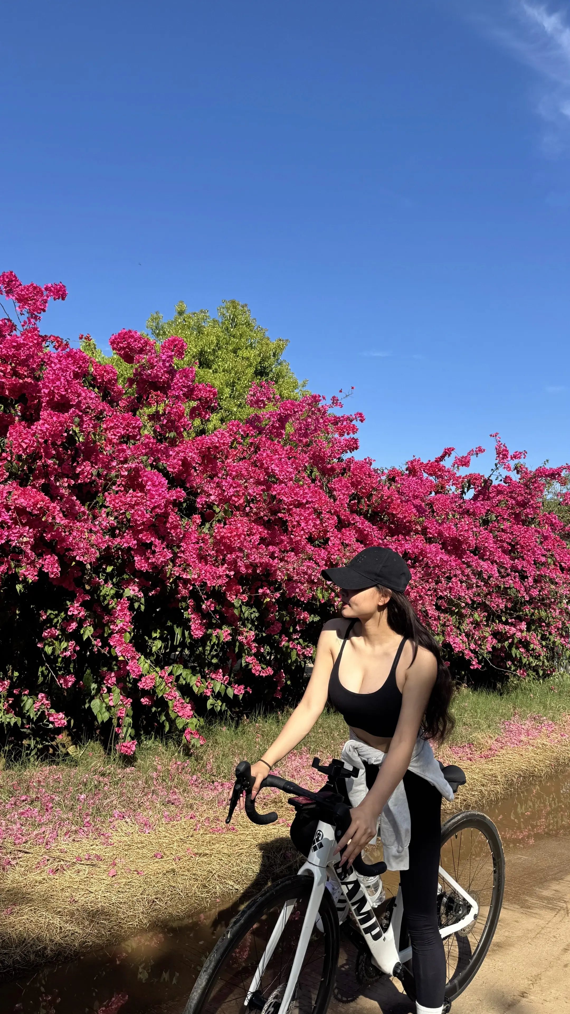 和我的小白拍一组春天的照片吧～