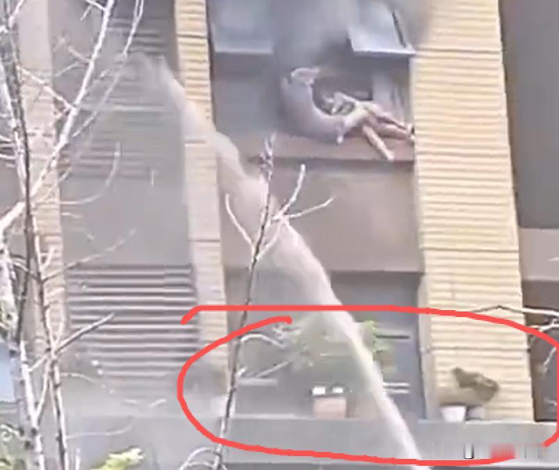 连云港这对母子，看着太心疼了！妈妈抱着孩子在窗户外墙支撑了30多分钟，最