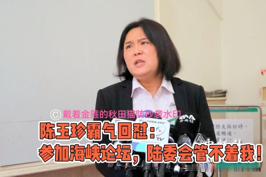 陈玉珍霸气回怼绿当局！参加海峡论坛遭查处？陈玉珍底气十足反呛陆委会：你管不着我