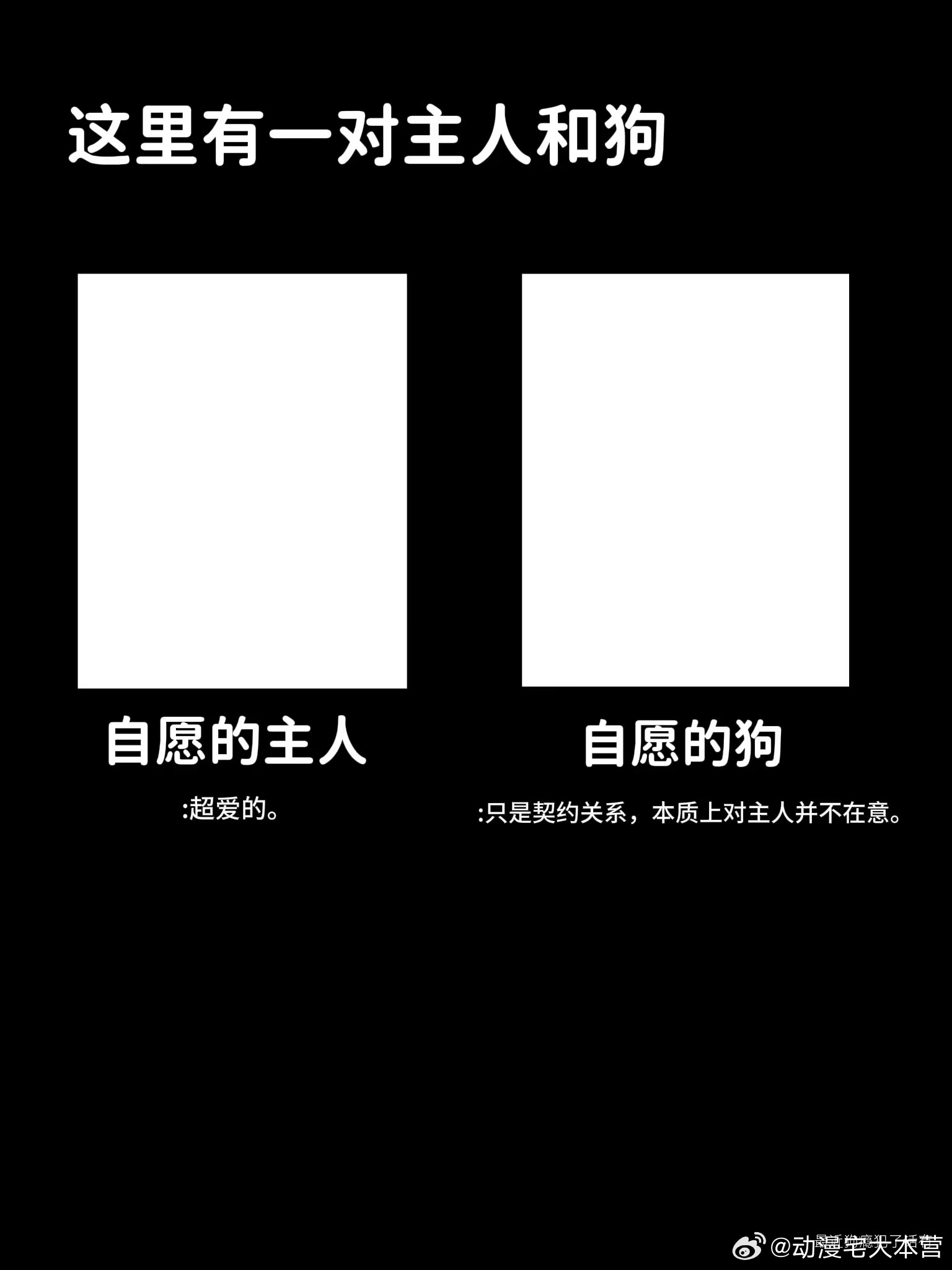 整理了一些感觉经常看到的一句话刻板印象主人和狗搭配